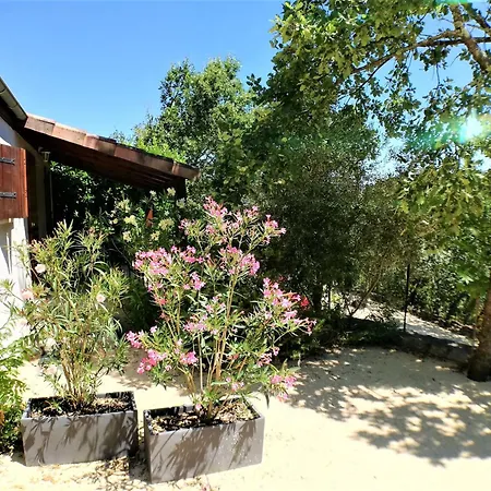 Hébergement de vacances Domaine De La Barnerie *